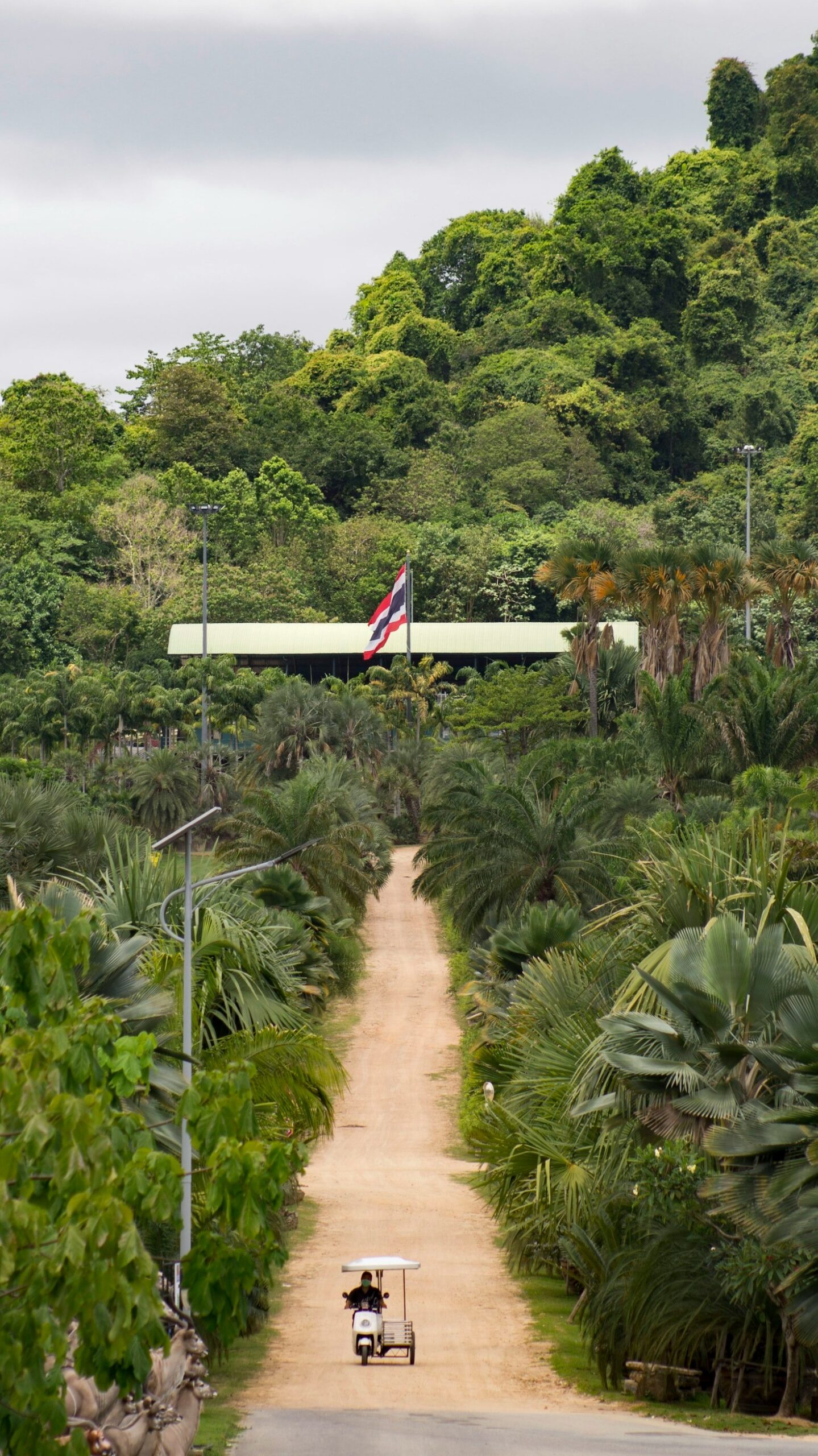 So gelingt die Integration in die thailändische Kultur